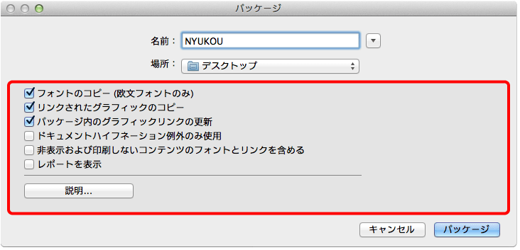 パッケージ保存時のオプション